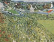 Vincent Van Gogh, Vineyard with a View of Auvers (nn04)